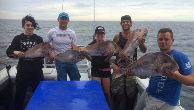 adelaide fishing charters