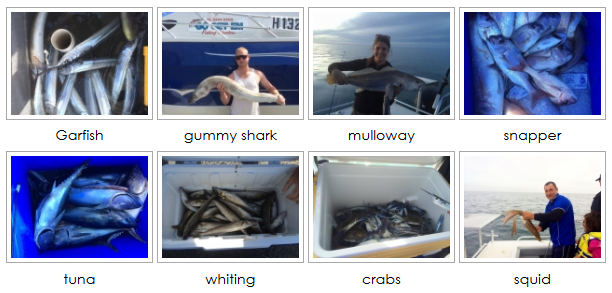 fishing trips charters adelaide sa