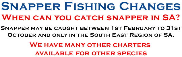 Snapper Fishing Changes in South Australia